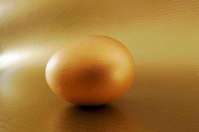 egg 3237034 640 1